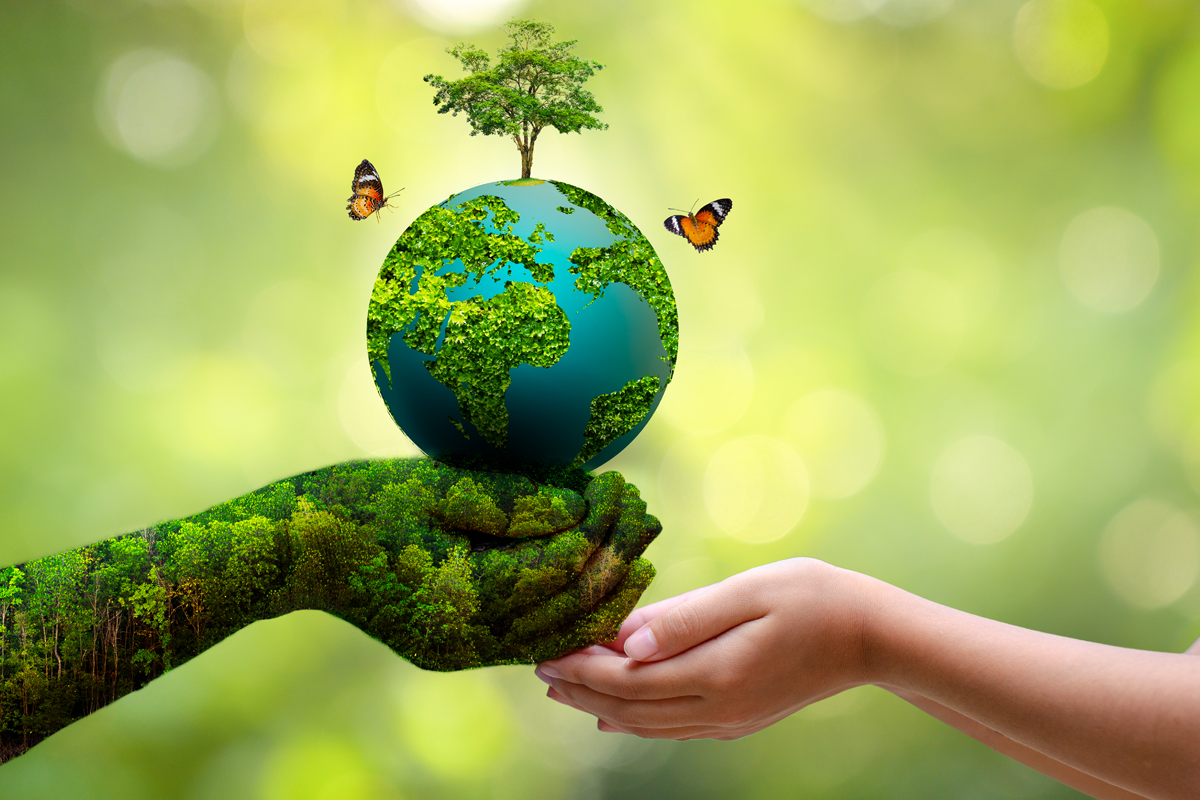 osm-celebrates-world-environment-day-everyday